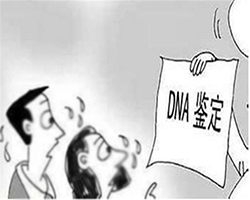 银川亲子鉴定怎么做