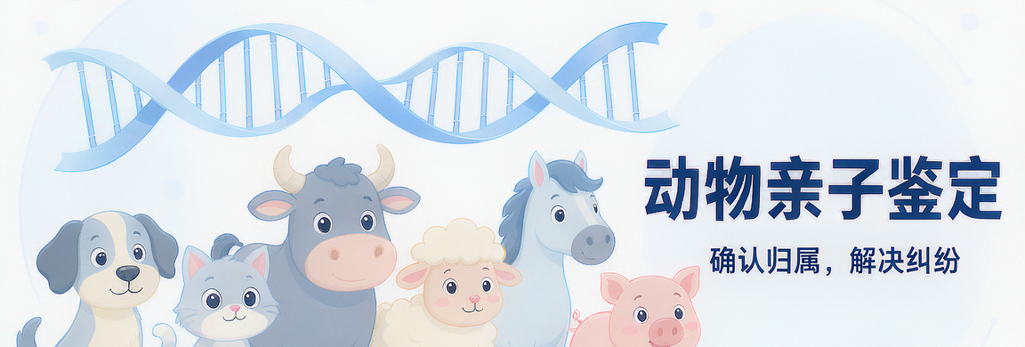 办理流程 办理流程