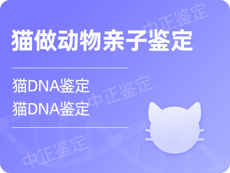 银川猫做动物亲子鉴定