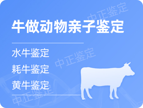银川牛做动物亲子鉴定