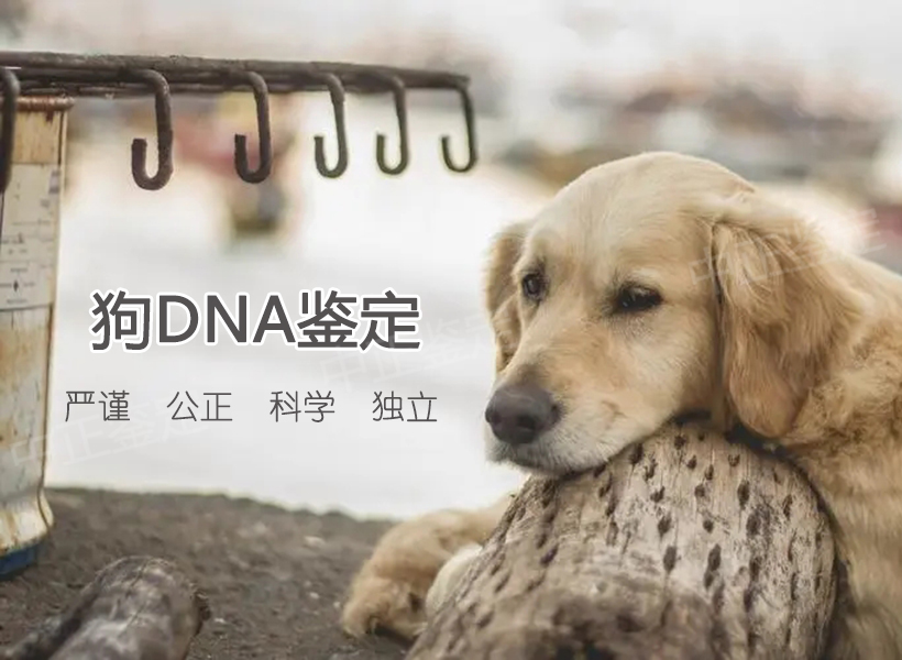 判定的依据与组合