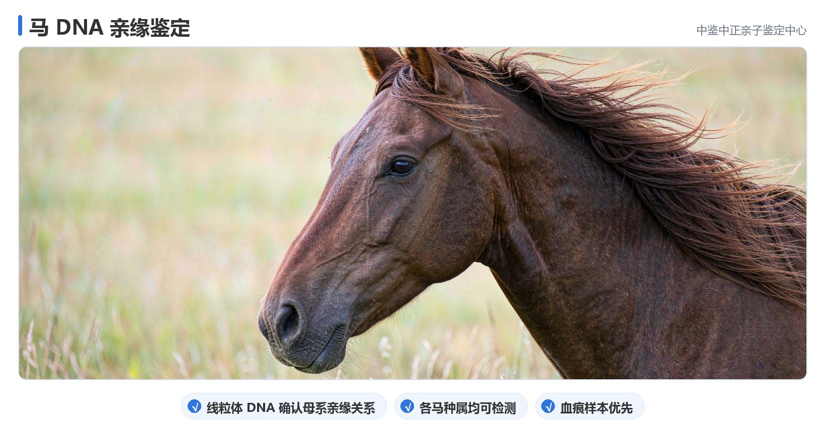 采样与办理