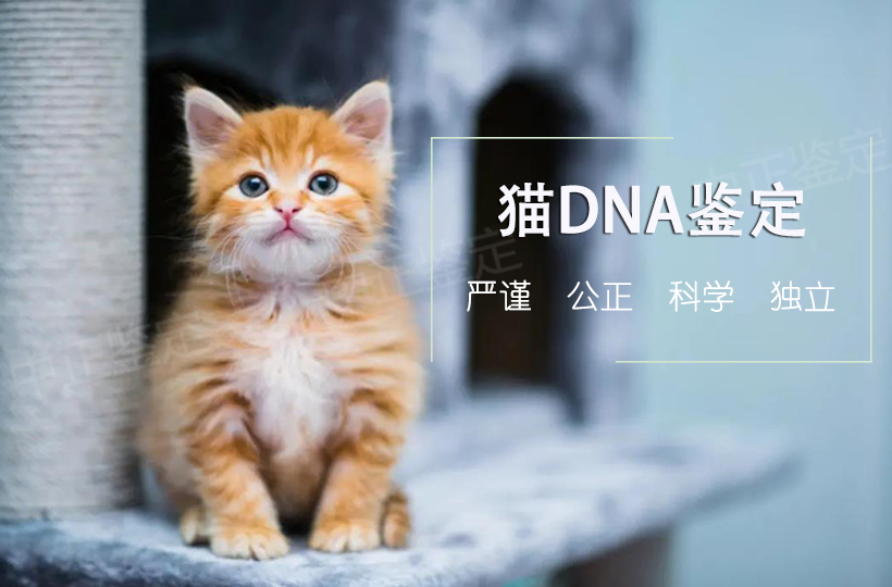 采样方法（在家即可操作）