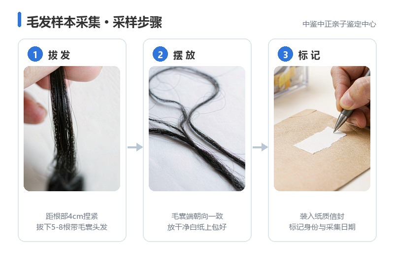 毛发样本采集方法 毛发样本采集方法