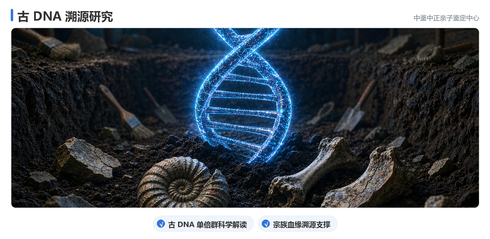 办理步骤
