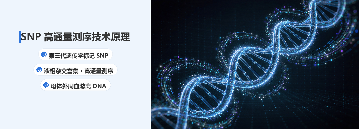 无创胎儿亲子鉴定DNA对比 无创胎儿亲子鉴定DNA对比